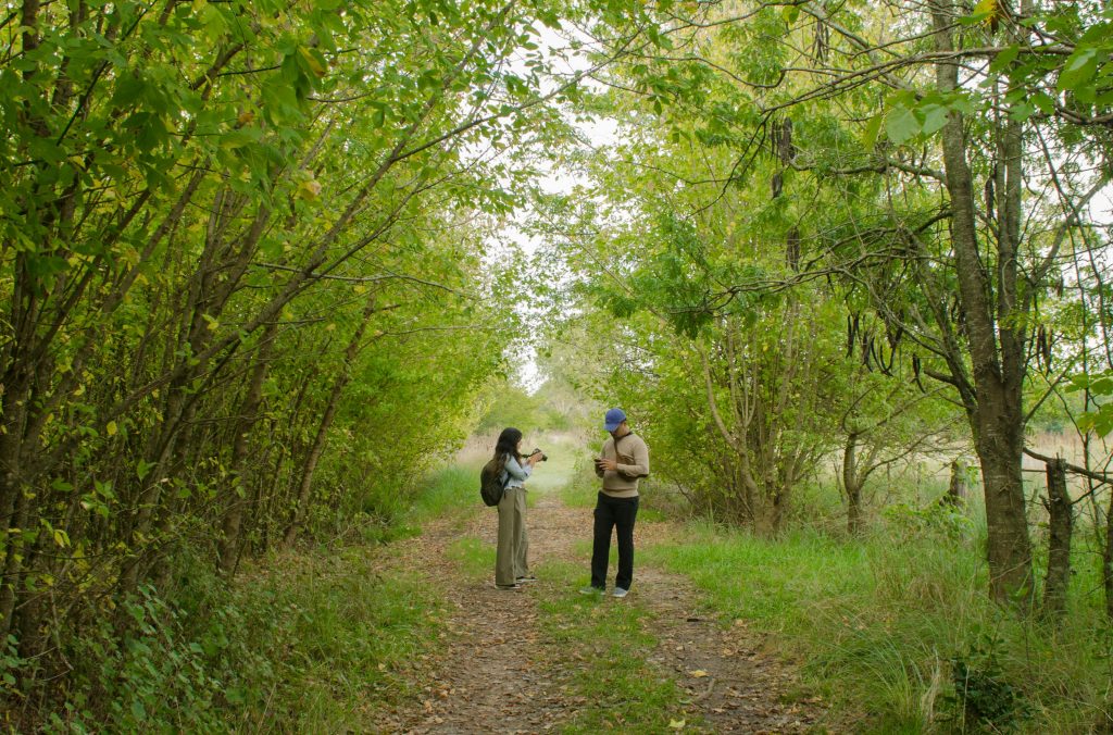 Two people exploring a forest pathway with lush green trees on a serene day.